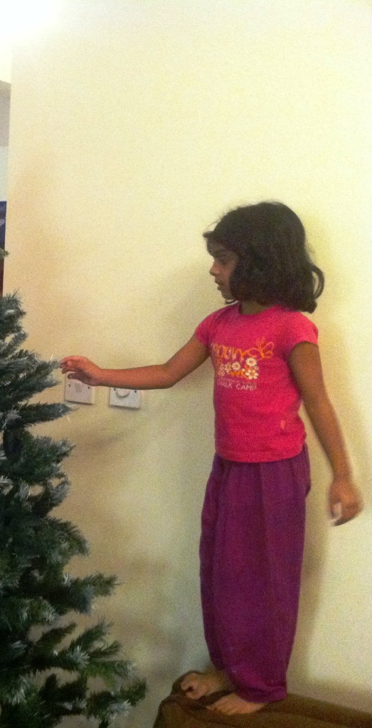 This was taken when Namnam was helping her father set up the X-mas tree, the year before last,